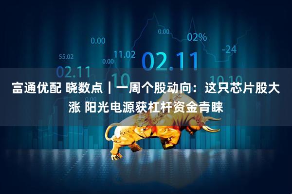 富通优配 晓数点｜一周个股动向：这只芯片股大涨 阳光电源获杠杆资金青睐
