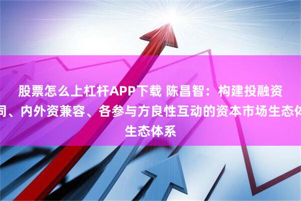 股票怎么上杠杆APP下载 陈昌智：构建投融资协同、内外资兼容、各参与方良性互动的资本市场生态体系