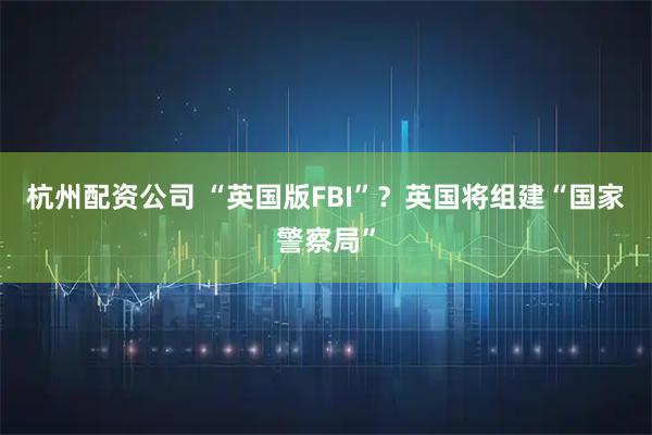 杭州配资公司 “英国版FBI”？英国将组建“国家警察局”